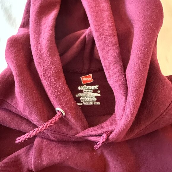 Hanes ecoSmart Hoodie - Picture 3 of 3